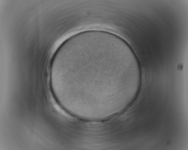 X0000113741515200910211113