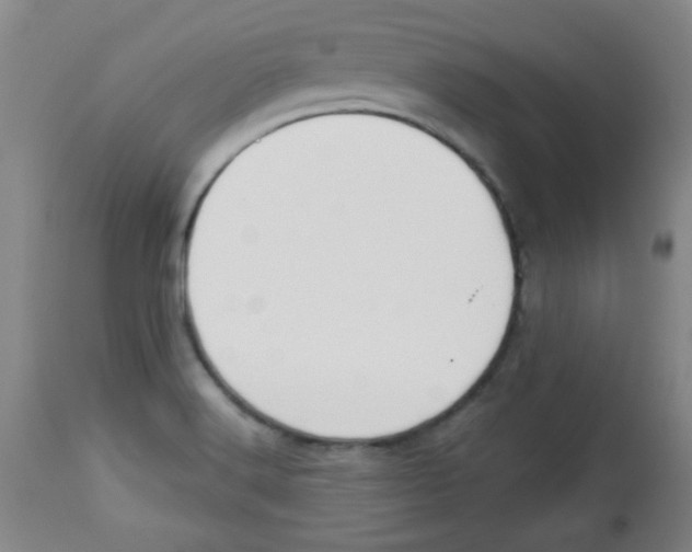 X0000113741516200910211113