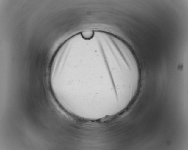 X0000113741517200910211113