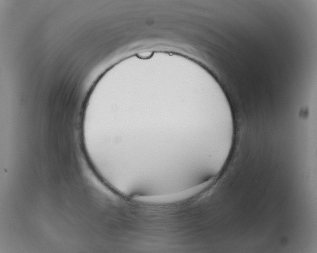 X0000113741518200910211113