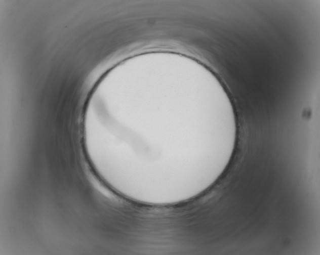 X0000113741519200910211113