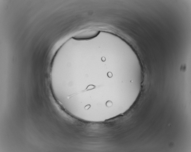 X0000113741520200910211113