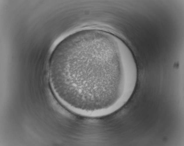 X0000113741522200910211113