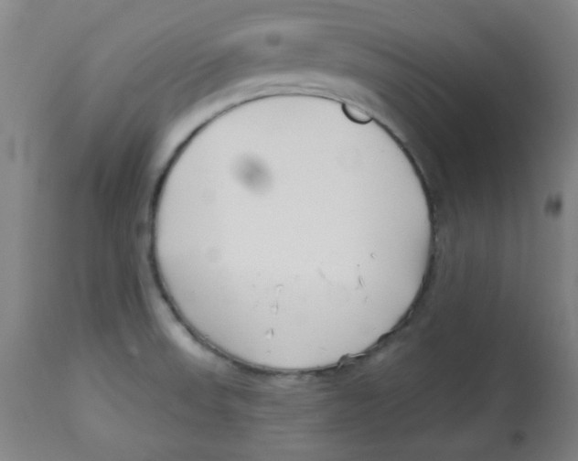 X0000113741523200910211113