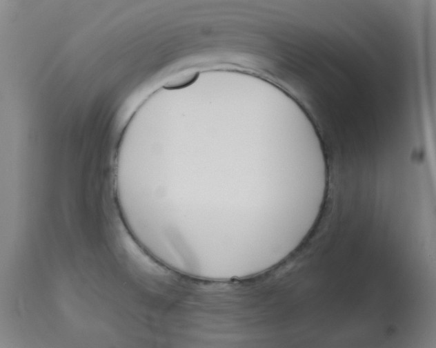 X0000113741524200910211113