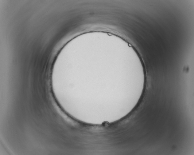 X0000113741525200910211113