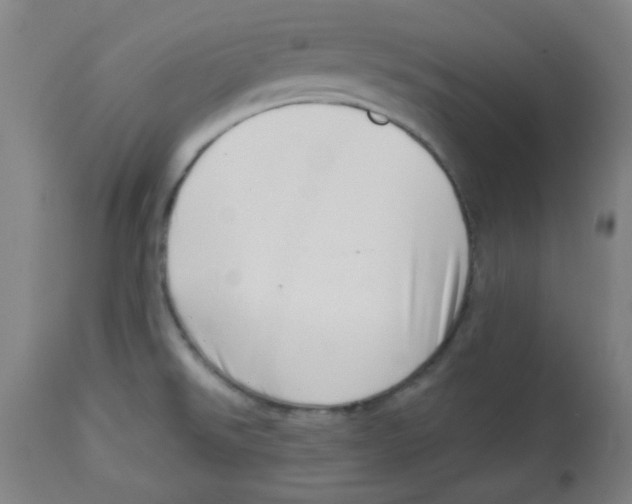 X0000113741526200910211113