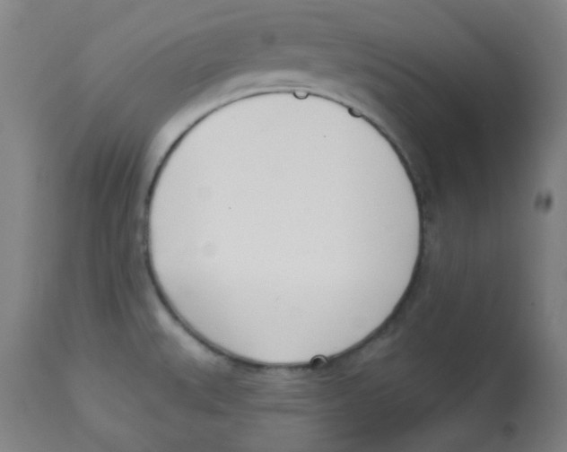 X0000113741527200910211113