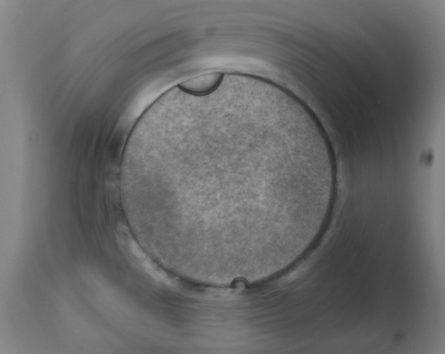 X0000113741529200910211113