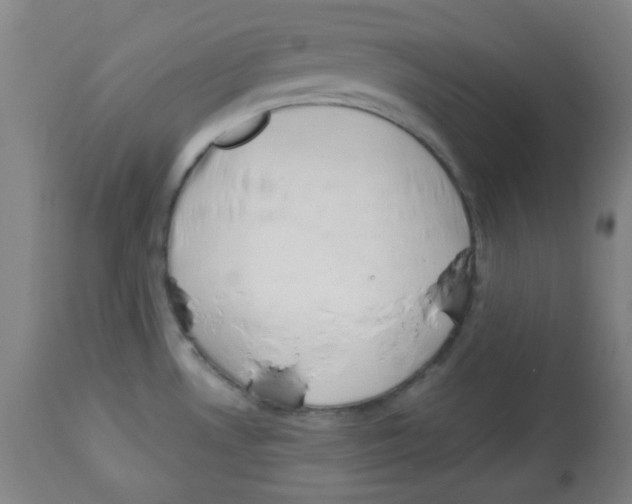 X0000113741530200910211113