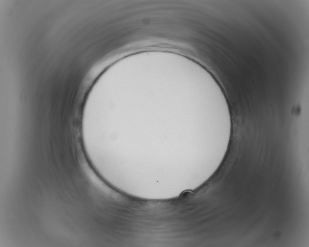 X0000113741531200910211113