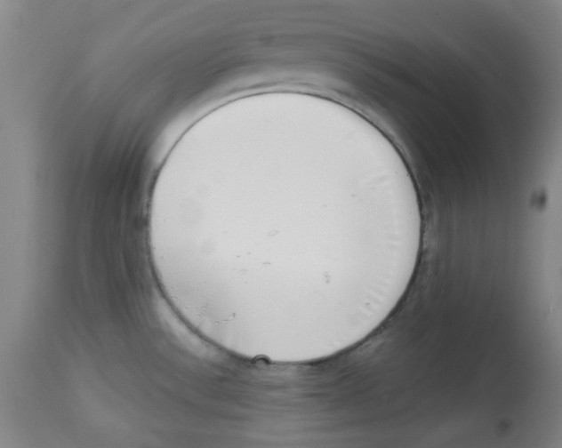 X0000113741532200910211113