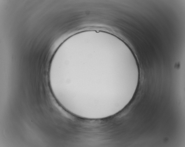 X0000113741533200910211113