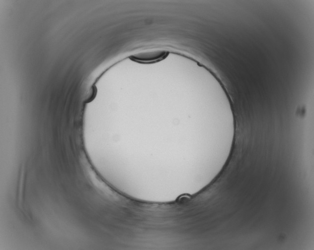 X0000113741534200910211113