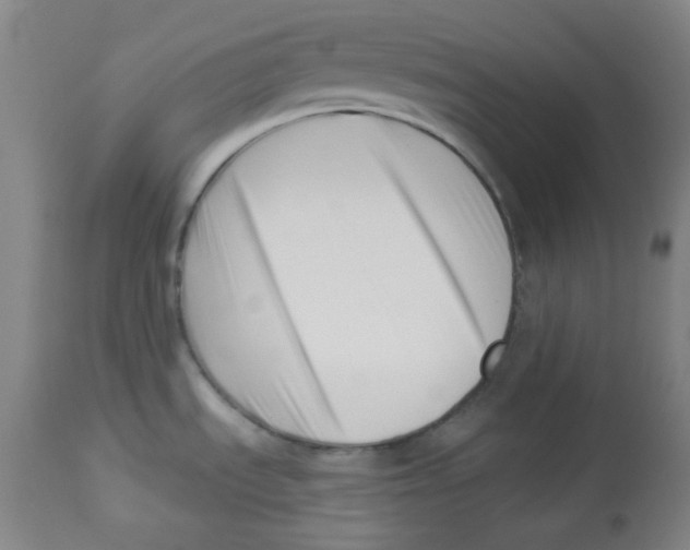 X0000113741535200910211113