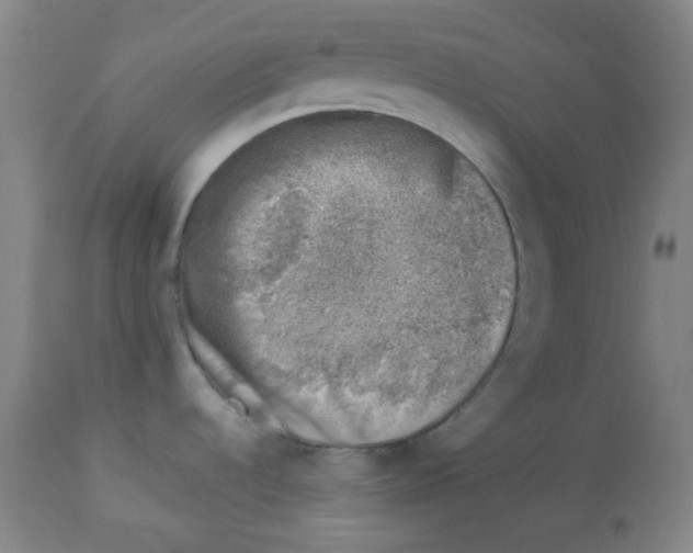 X0000113741536200910211113