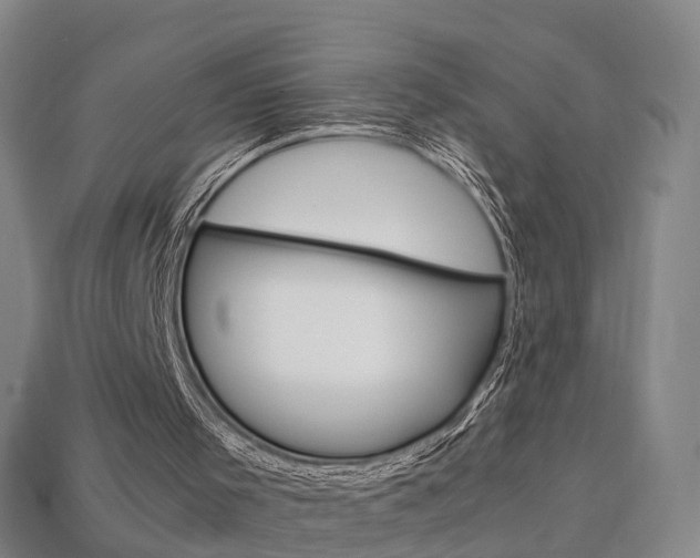 X0000113750001200909231015