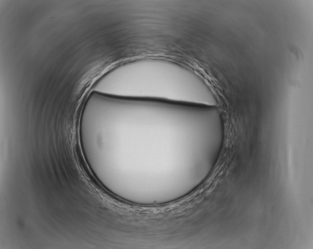 X0000113750002200909231015