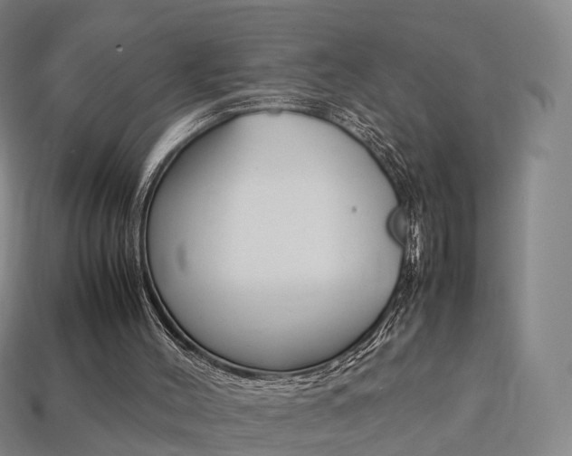 X0000113750004200909231015