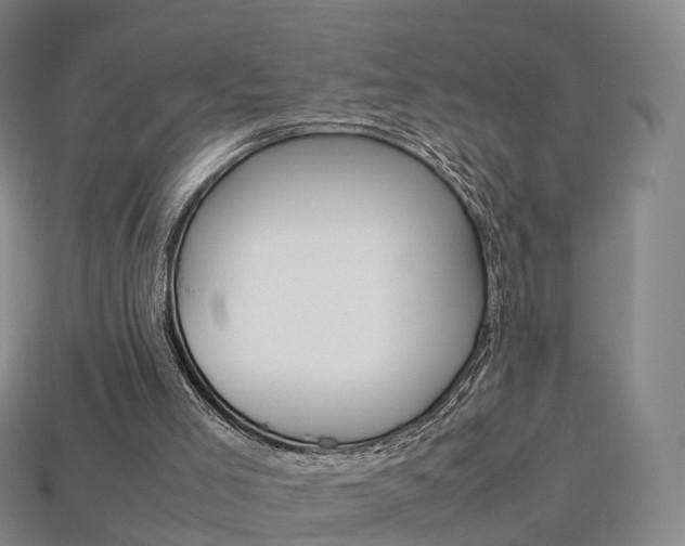 X0000113750005200909231015