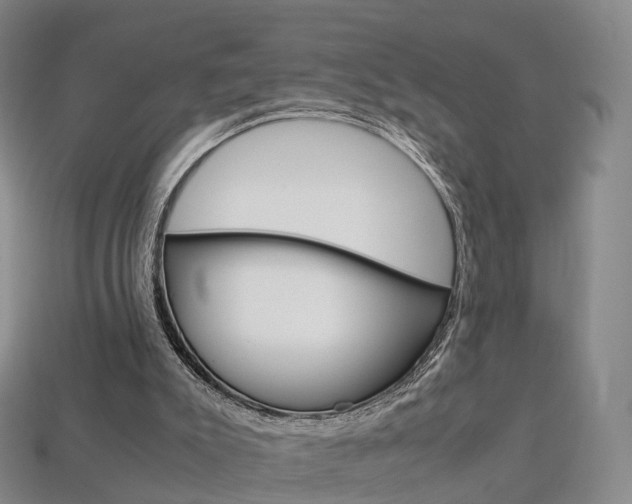 X0000113750007200909231015
