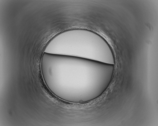 X0000113750009200909231015