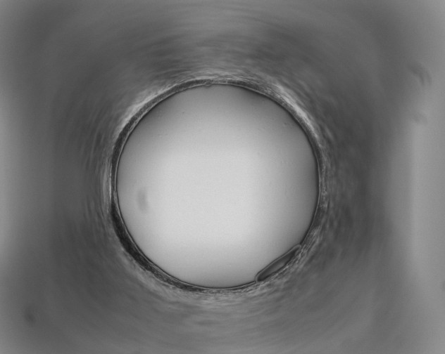 X0000113750011200909231015