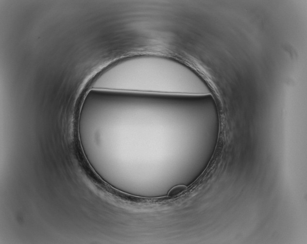 X0000113750012200909231015
