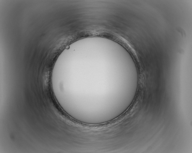 X0000113750018200909231015