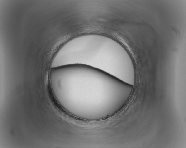 X0000113750019200909231015