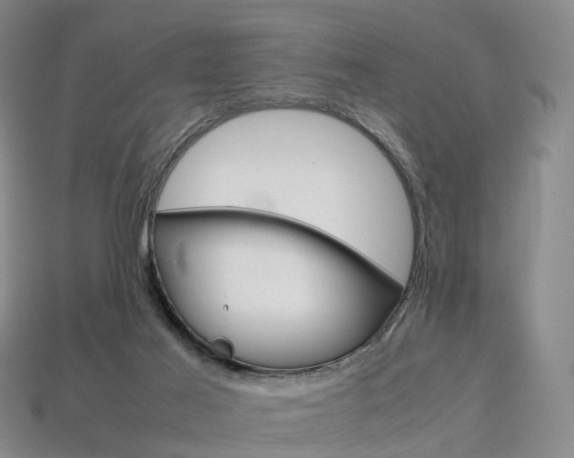 X0000113750021200909231015