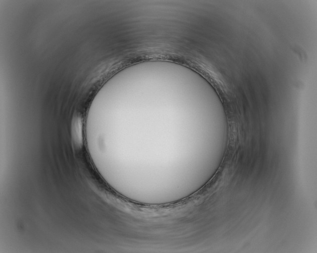 X0000113750022200909231015