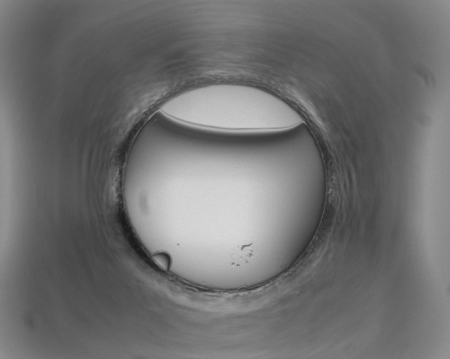 X0000113750023200909231015