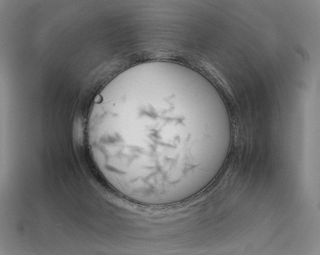 X0000113750026200909231015