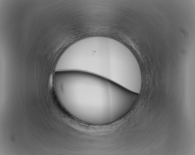 X0000113750027200909231015