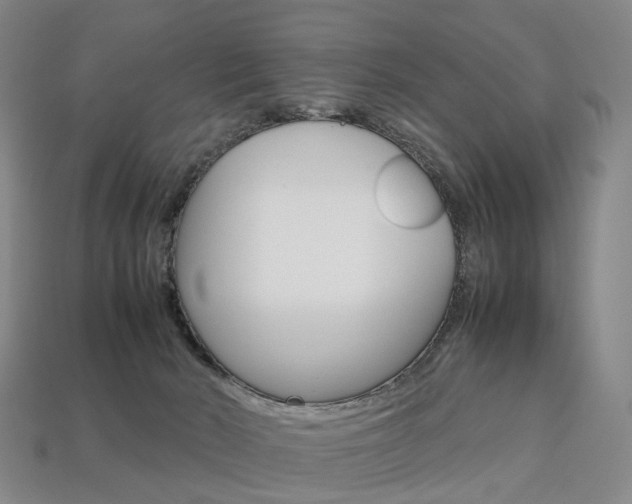 X0000113750030200909231015