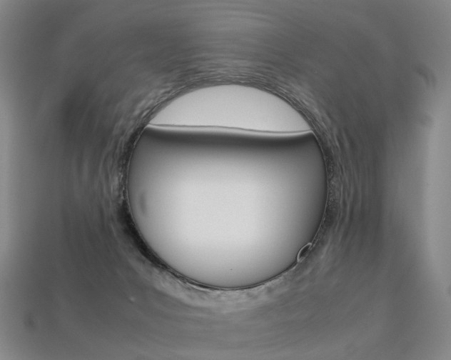 X0000113750031200909231015