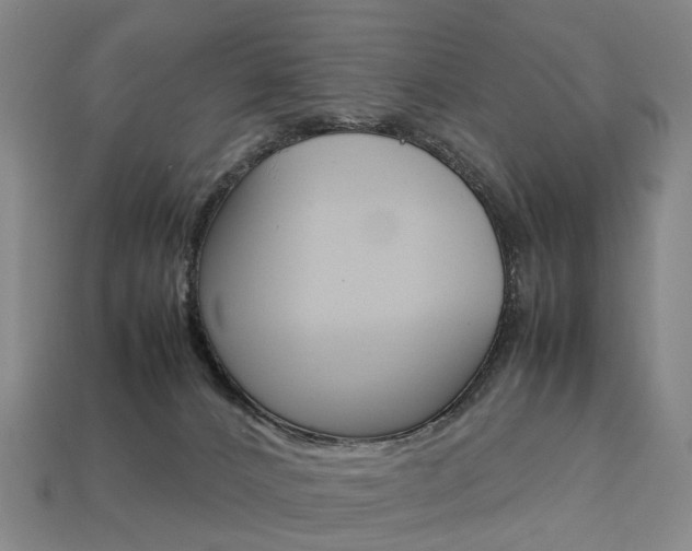 X0000113750032200909231015