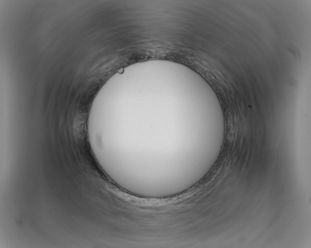 X0000113750034200909231015
