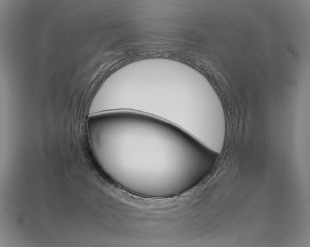 X0000113750035200909231015