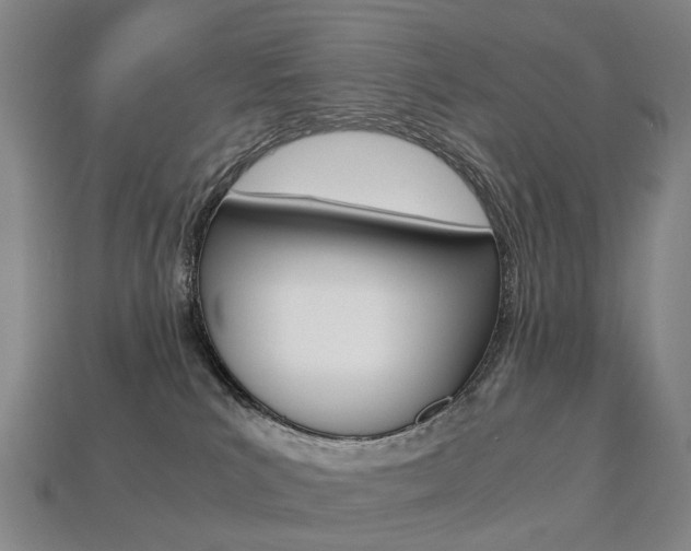 X0000113750039200909231014