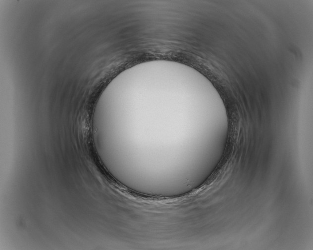 X0000113750040200909231014
