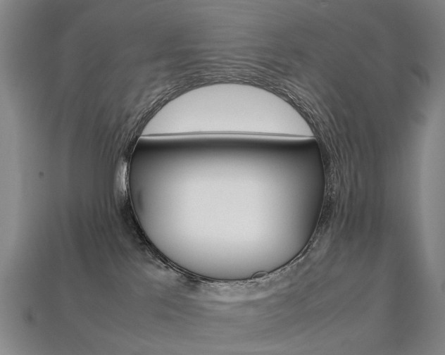 X0000113750041200909231014