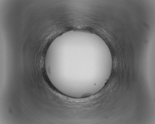 X0000113750043200909231014