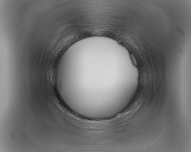 X0000113750044200909231014