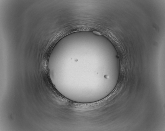 X0000113750045200909231014