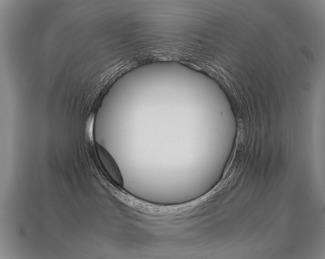 X0000113750047200909231014