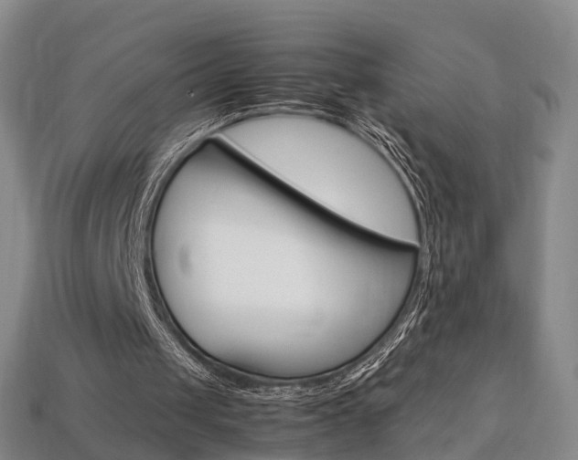 X0000113750049200909231014