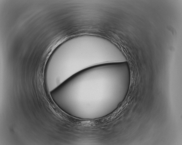 X0000113750050200909231014