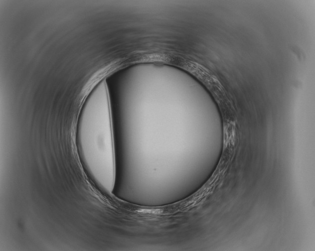 X0000113750051200909231014